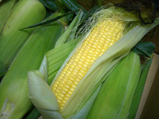 20071014_corn