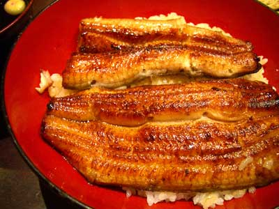 20080219_2unagi