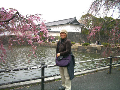 20080330_1sakura1