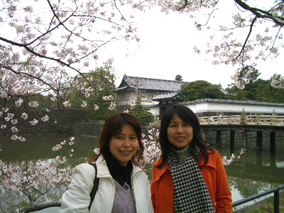 20080330_2sakura2