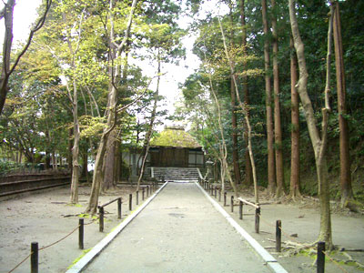 20080402_3honenin1