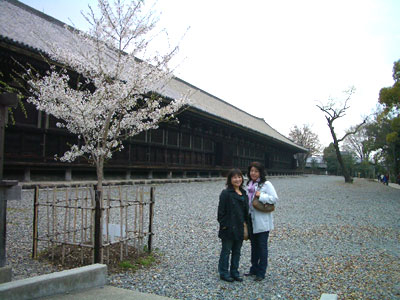 20080403_1sanjusan1