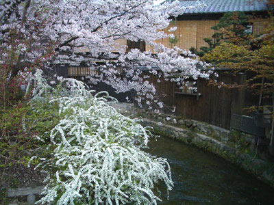 20080403_5gion3