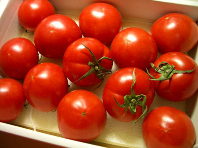 20090310_iguchi_tomato