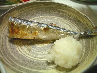 20090628_sanma