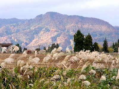 20101130_niigata2