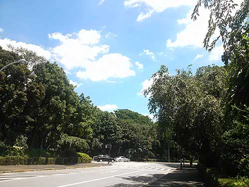 20130709_jinguu1