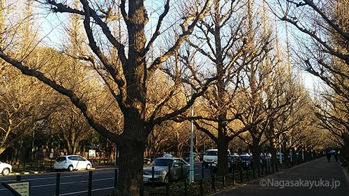 20150107_jingu2